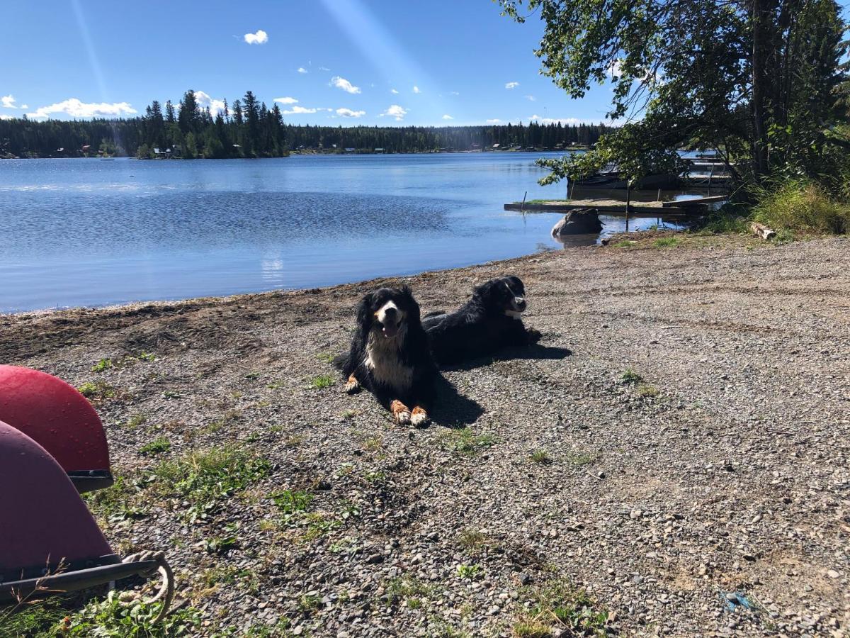 Beaver Guest Ranch Bridge Lake Экстерьер фото